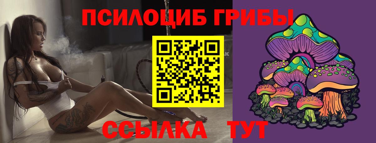 Верхний Уфалей  Галлюциногенные грибы прущие грибы  Вход с VPN 